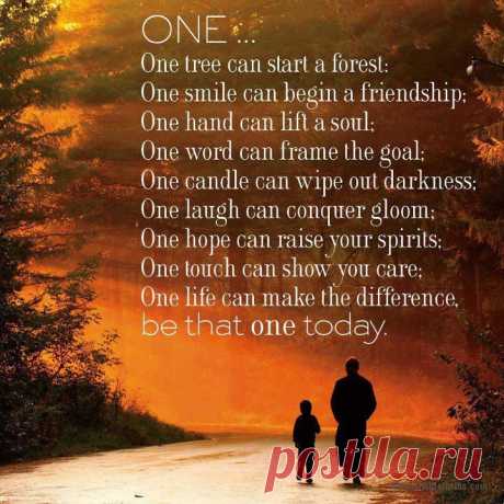 One Tree Can Start A Forest, Be That One Today