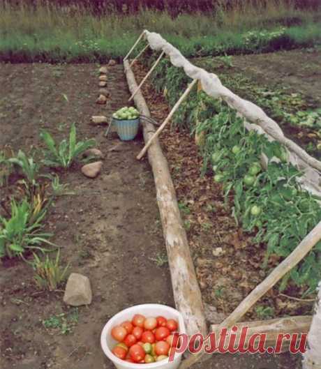 Дачный советник | ВКонтакте