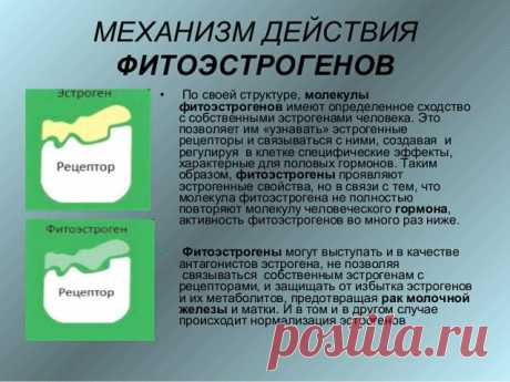 Фитоэстрогены для женщин: зачем они нужны
