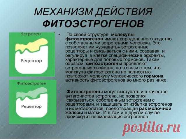 Фитоэстрогены для женщин: зачем они нужны