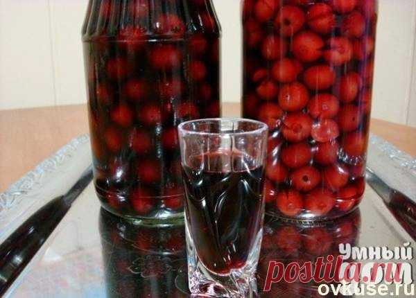 Наливка вишневая - Простые рецепты Овкусе.ру