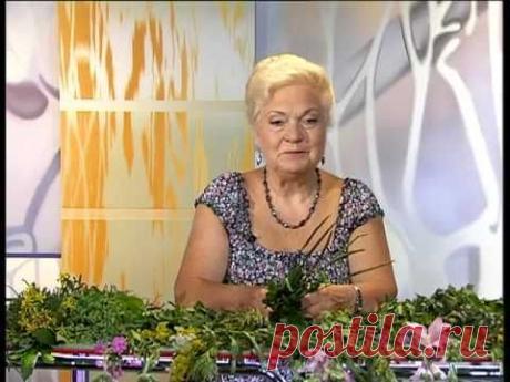 Наталя Земна - Подорожник - &quot;Ранок&quot; на КРТ