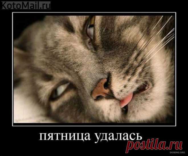 Греюсь! | KotoMail.ru