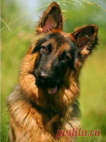 Вам и не снилось...
W G