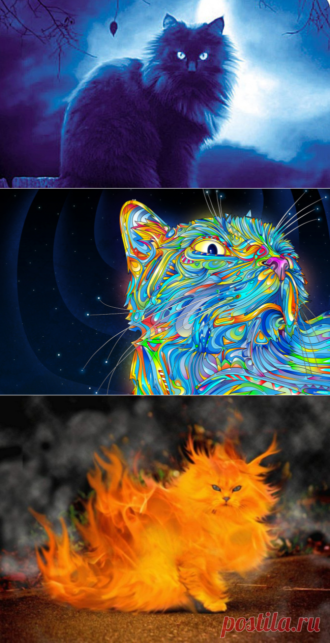 Кошка — магическое животное