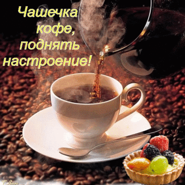 img-6529.gif (500×500)