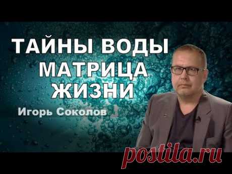 Тайны воды. Матрица жизни