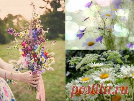 Доброе утро Всем! 🌞
А новый день — как-будто листик чистый, 
Ты сам решаешь: что, куда, когда… 
Начни его с хороших мыслей, 
И в жизни всё получится тогда!
Не стоит на завтра откладывать жизнь! 
Живи, улыбайся, за радость держись!
Цени каждый миг, каждый шаг, каждый взгляд -
И будешь душою всему в жизни рад!
Пусть вас окружает только то,что дарит радость,свет и счастье...Божественно красивый букет! 💞