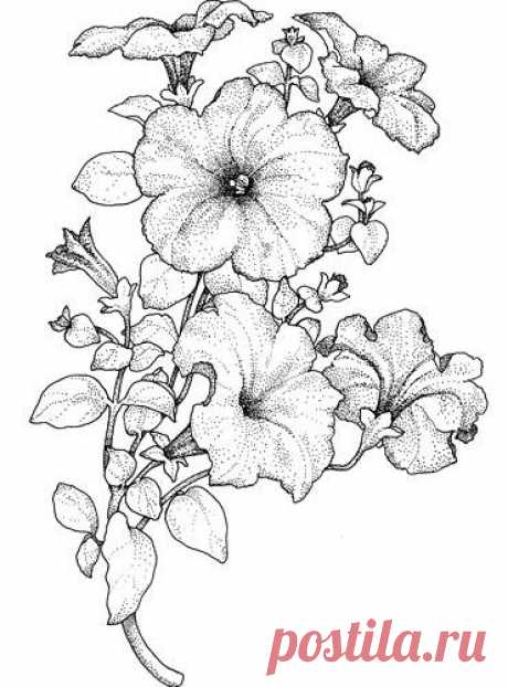 Цветочные рисунки для росписи, батика и витража