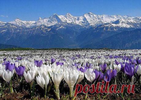 Больше,чем фото™