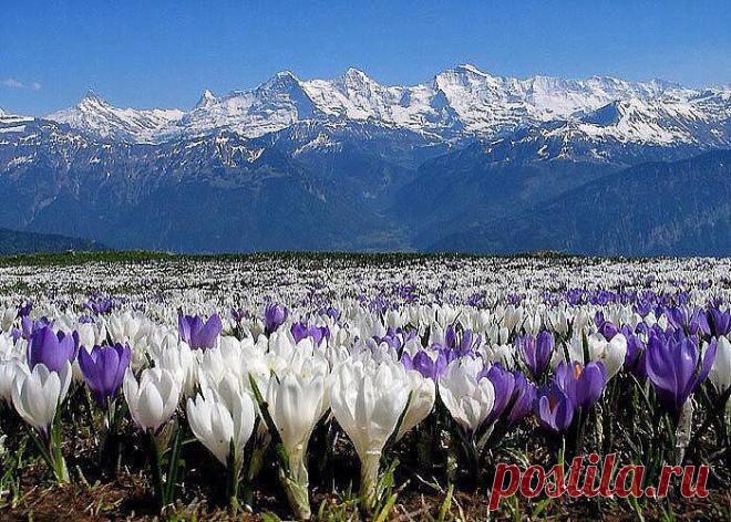 Больше,чем фото™