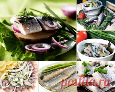 Как солить селедку: 10 кулинарных советов