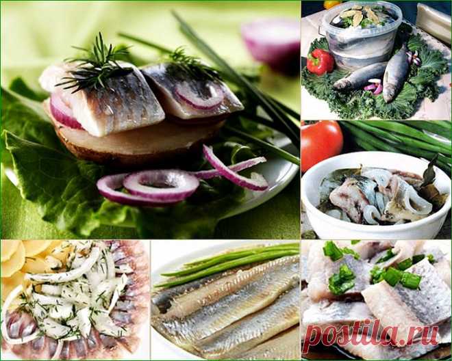 Как солить селедку: 10 кулинарных советов
