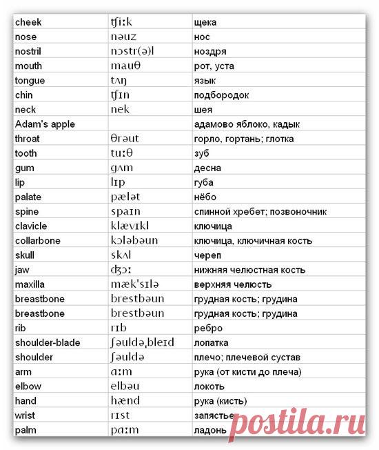 Палец транскрипция на английском языке. Палец транскрипция на английском языке. Пальцы на руках название. Палец транскрипция на английском языке. Как читается thumb.