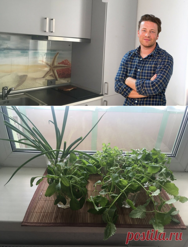 5 "женских" трав, которые выращиваю круглый год в стакане воды на подоконнике