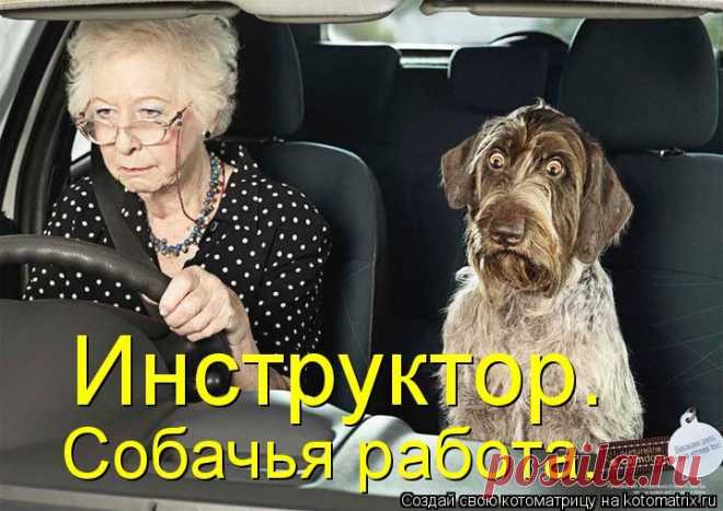 Котоматрица: Главная