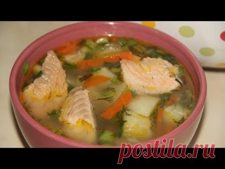 Уха из горбуши / рыбный суп