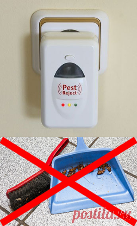Pest Reject Отпугиватель тараканов, грызунов и насекомых!
Отпугиватель излучает ультразвуковые низкочастотные волны, невыносимые для вредителей, но не слышимые человеком
После включения Pest Reject в розетку, вредители начинают покидать помещение, а уже через неделю вы навсегда избавитесь от посторонней живности
Впоследствии вредители будут обходить стороной зону воздействия отпугивателя и больше не вернутся к вам!