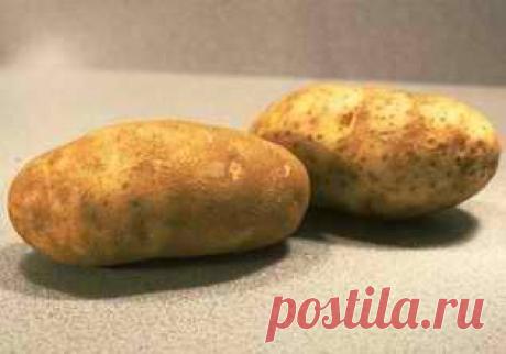 >> Панкреатит - Народные средства и методы лечения панкреатита: эффективные рецепты