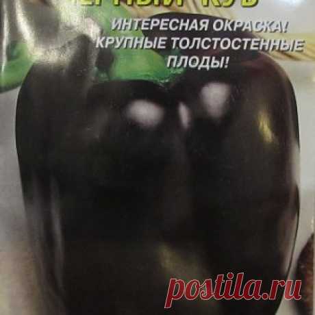 Практика ведения дачного хозяйства