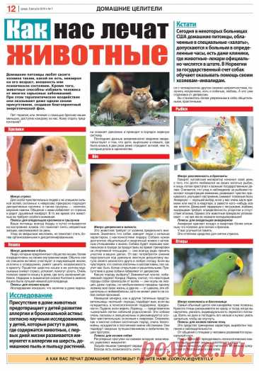Как нас лечат животные