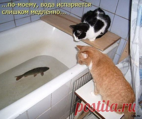Релакс для души.
