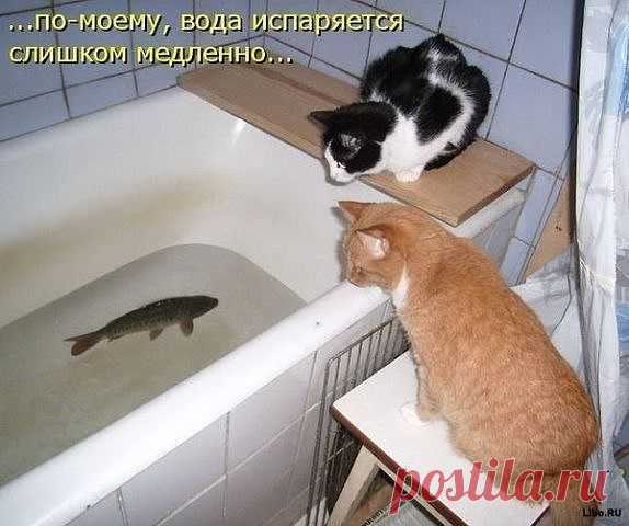 Релакс для души.