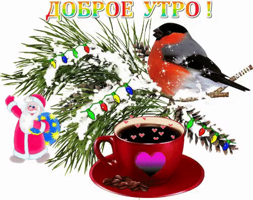 Форма жалобы на изображение