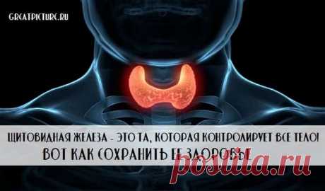 Важнейший орган — Щитовидная железа 


Щитовидная железа — это та, которая контролирует все тело! Вот как сохранить ее здоровье.О ней мы забываем чаще всего, да? А потом начинается… 
Важнейший орган — Щитовидная железа — это та, которая…