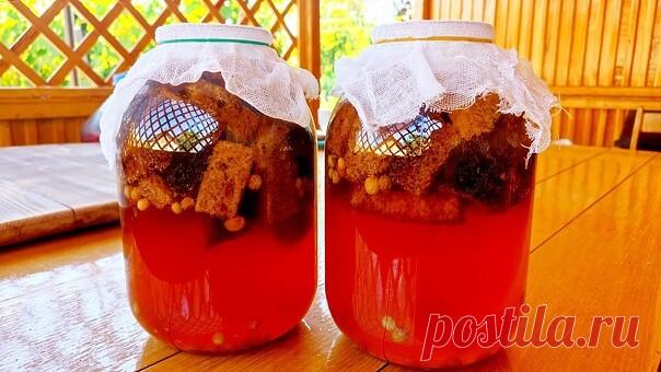 #виноделиеидрнапитки 
ГОТОВИМ ДОМАШНИЙ КВАС

300 г ржаного хлеба (черного)
3–4 л воды
10–15 ст. л сахара
2 ст. л. изюма
Нарежьте хлеб кусочками и подсушите в духовке до румяной корочки. Следите, чтобы сухари не подгорели, иначе квас будет горчить.
Остывшие сухари переложите в емкость, в которой будете готовить квас.
Вскипятите воду и растворите в ней сахар. Остудите и залейте сухари. Добавьте изюм.
Накройте емкость хлопковой салфеткой или марлей и оставьте для брожения. Че...