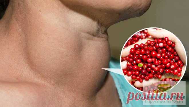Рецепты для лечения щитовидки: вот что посоветовала сестре целительница При гипотериозе Компрессы на область щитовидной железы Компресс из ячменя и подмаренника Натуральные зерна ячменя и траву подмаренника обычного смешать в пропорции 1:1, засыпать в полотняный мешочек (из хлопка или льна), поварить 10 мин. Когда чуть остынет, отжать и положить на область увеличенного зоба. Держать не более 2 часов. Холодный компресс из глины (голубой, белой, желтой). …