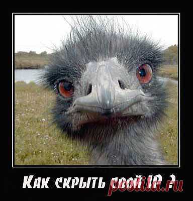 Как скрыть IP адрес и что для этого нужно | Польза-24
