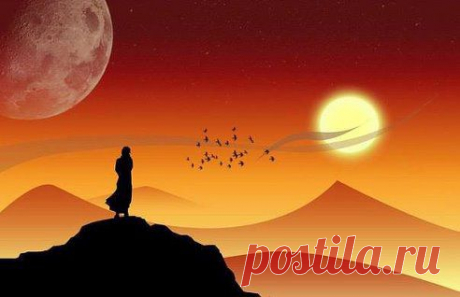 (48) Одноклассники