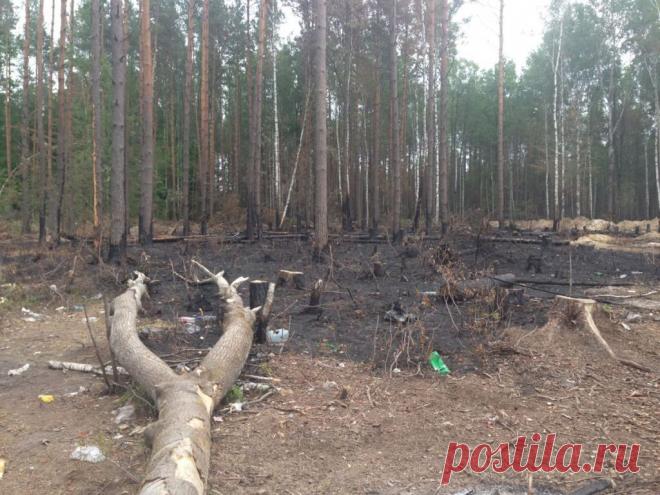 Несколько районов Центральной и Западной Украины вышли из подчинения Киева