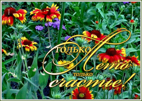 Открытка с летом на счастье
