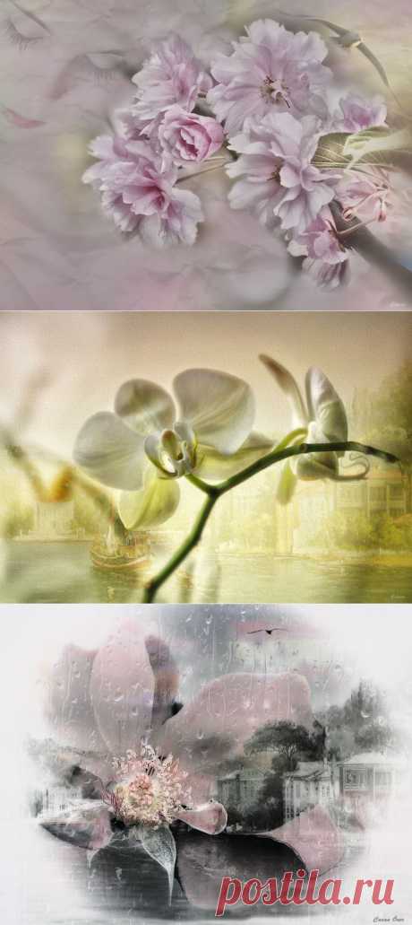 Лучшие и прекраснейшие вещи в мире нельзя увидеть...их надо чувствовать сердцем