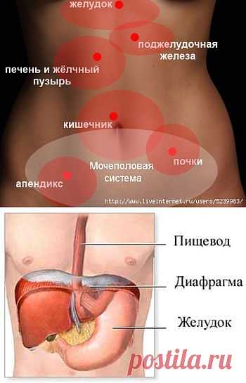 Кишечник, желудок | Записи в рубрике Кишечник, желудок | Советы и рецепты для Вашего здоровья