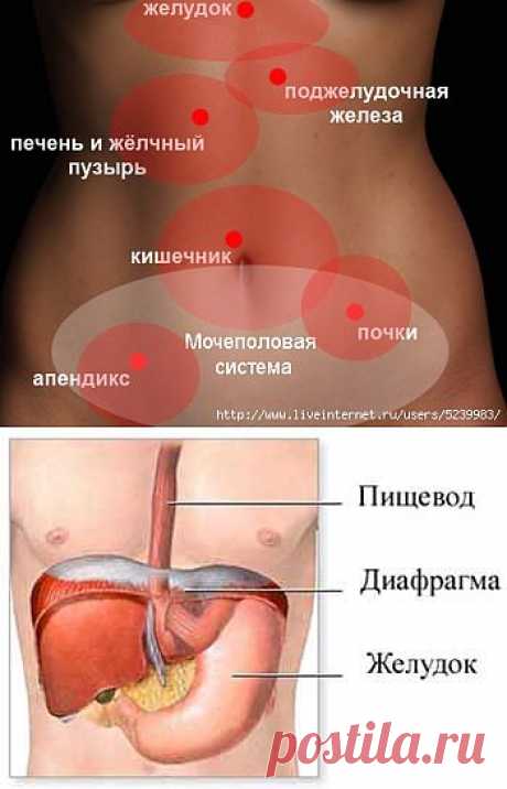 Кишечник, желудок | Записи в рубрике Кишечник, желудок | Советы и рецепты для Вашего здоровья