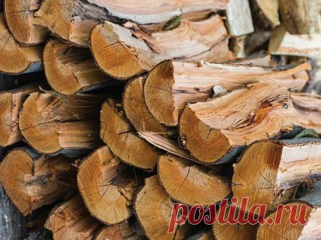 Выбор дров для жарки на гриле и копчения