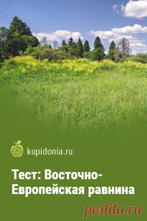 Тест: Восточно-Европейская равнина. Тест по географии Европы. Проверьте ваши знания!