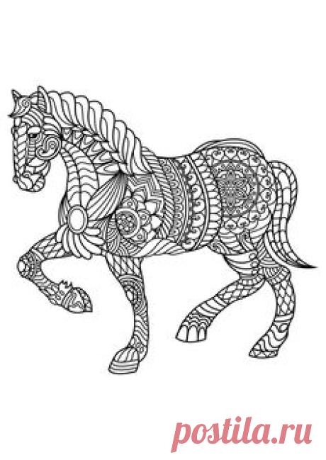 Animal coloring pages pdf Animal Coloring Pages is a free adult coloring book with 20 different animal pictures to color: horse coloring pages, dog, cat, owl, wolf coloring pages and more! Create your own collection of animal coloring pages.