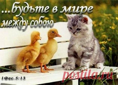 Мои закладки
