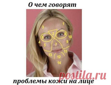 Расшифровка лица : Красота : Мир женщины : Subscribe.Ru