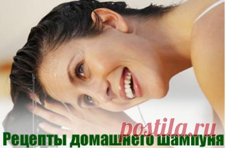 Приготовление шампуня в домашних условиях

Мы привыкли мыть волосы шампунем и ополаскивать бальзамом. Сделать натуральный шампунь дома не предоставляет никакого труда, однако польза от такого шампуня в несколько раз будет превосходить большинства средств, купленных на прилавках магазинов. Есть отличные народные средства для ухода за волосами. Их легко можно приготовить в домашних условиях, а волосы после них будут красивыми, крепкими и сиять своим здоровьем.