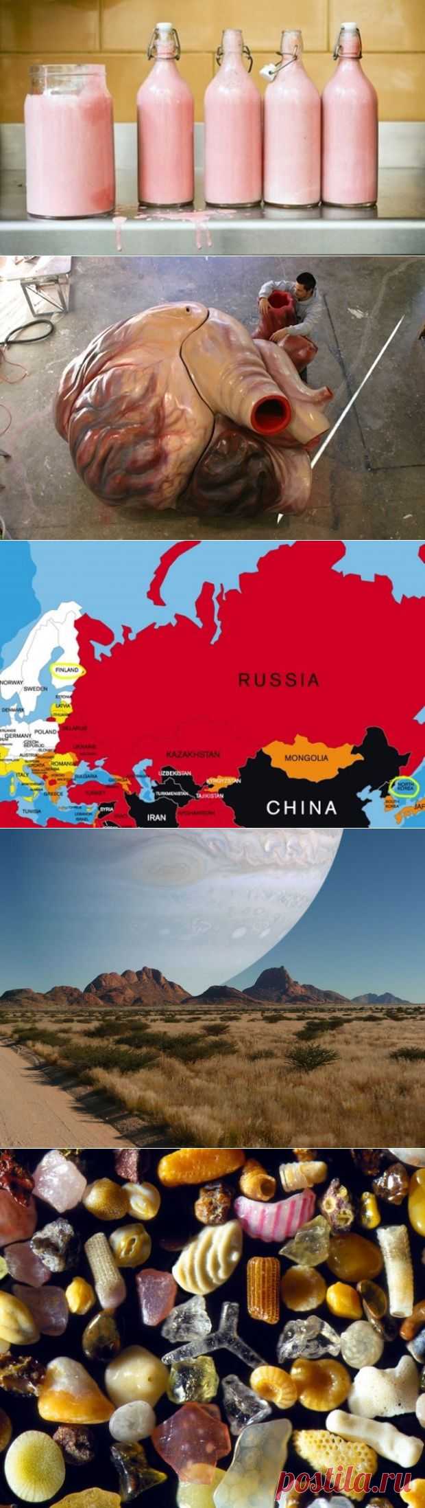 Факты, которые звучат как ложь, но являются правдой
