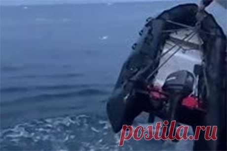 Разъяренная моржиха атаковала лодку россиян, пробила ее и попала на видео. Моржиха атаковала лодку россиян, пробила ее бивнями и попала на видео. Запись инцидента публикует портал «Север Пост». На выложенных кадрах видно, как животное выпрыгивает из воды, чтобы достать бивнями прикрепленную к судну надувную лодку и пробивает ее. После этого разъяренная моржиха издает агрессивные звуки.