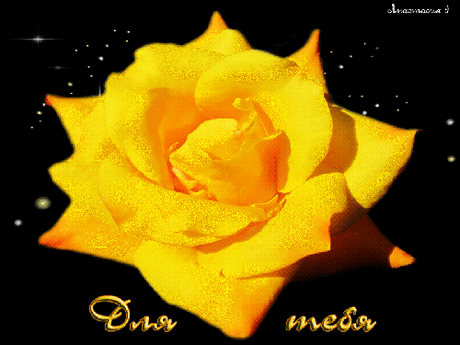 Желтая роза для тебя - Открытки Для Тебя - Красивые картинки анимации