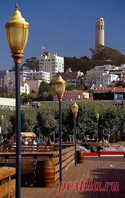 San Francisco - Coit Tower from Fisherman's Wharf | Flickr - Photo Sharing! | Catherine Robinson приколол(а) это к доске Our american road trip hon… Pinterest