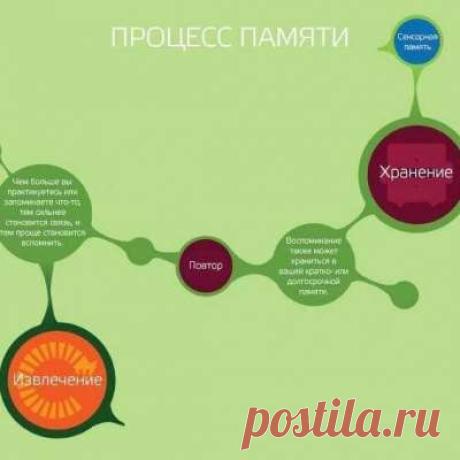 Учитель биологии!