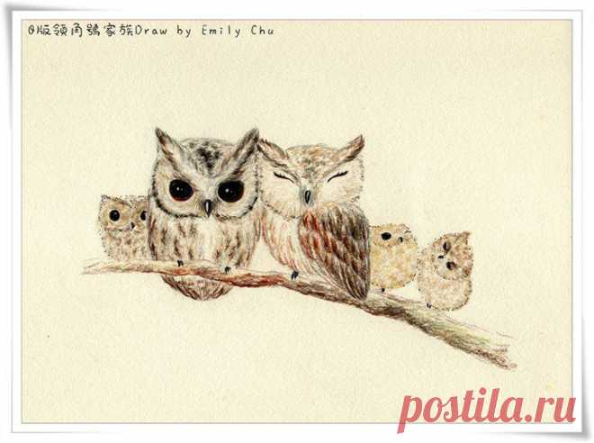 Roy Mangersnes - Photos of The Owl Pages
